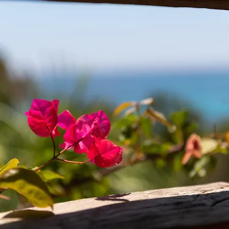 فيلة Chiarenza, Tuerredda تويلادا